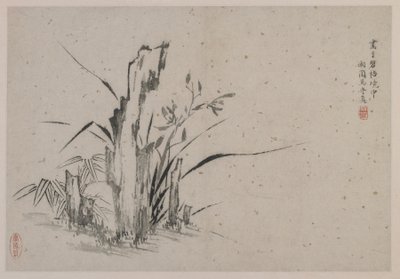 Rocas, orquídeas y bambú, dinastía Ming de Ma Shouzhen